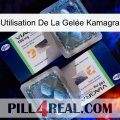 Utilisation De La Gelée Kamagra viagra5